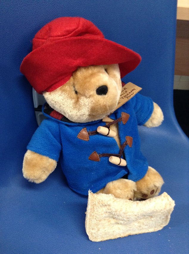 Image of Maple class loved learning about Paddington Bear!