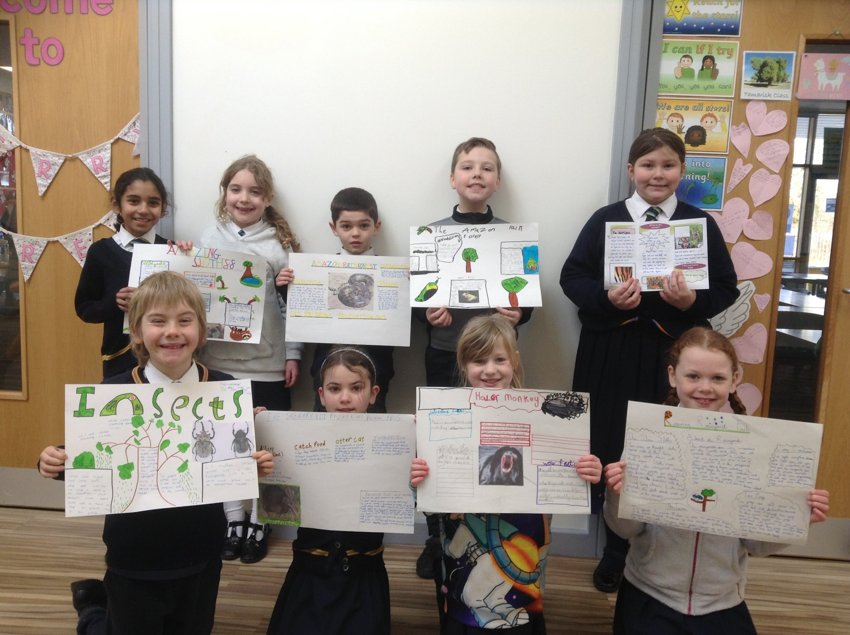 Image of We are Amazon Rainforest experts!